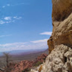 Meet your Posher, Isabelle